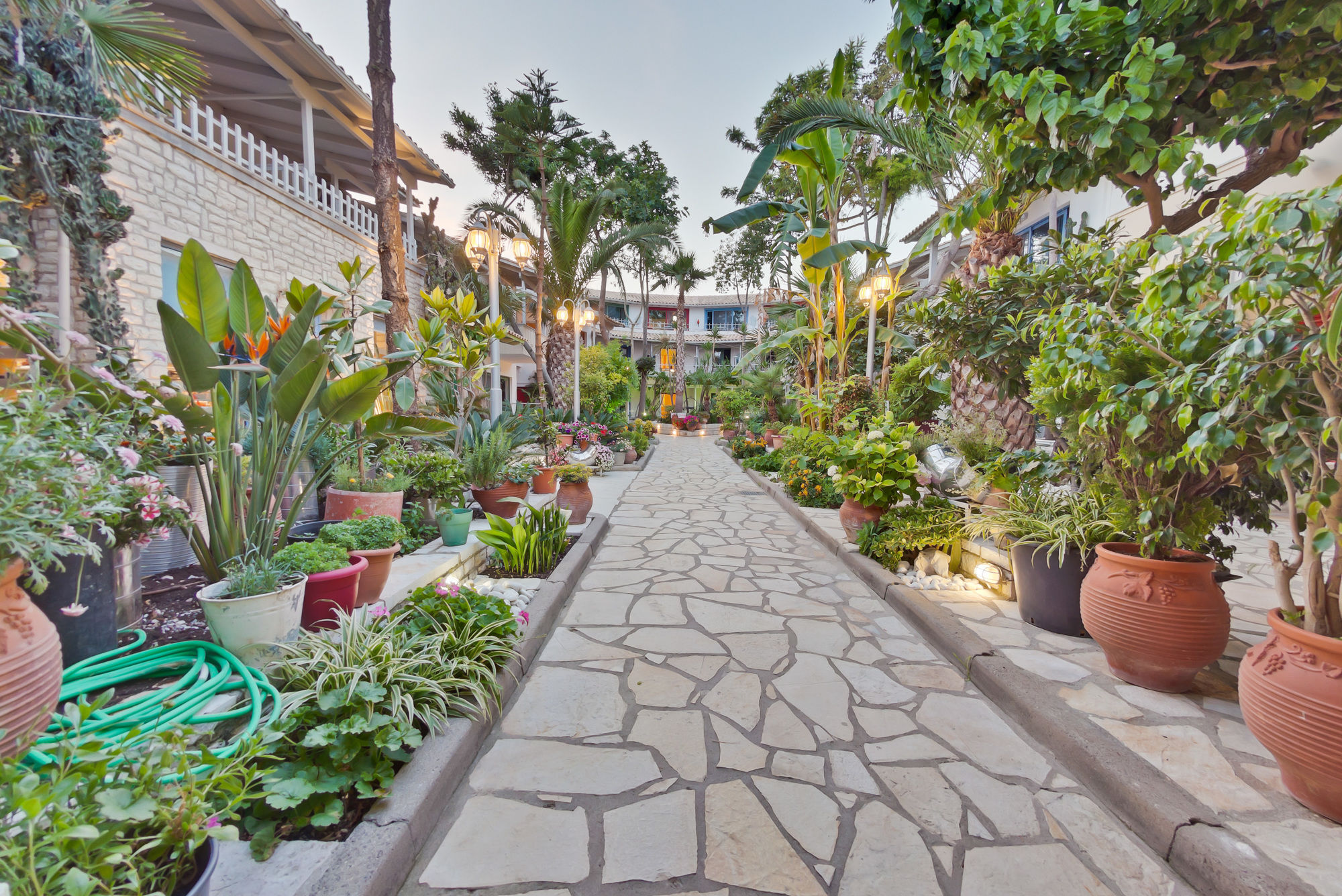 Rouda Bay Beach Hotel ميكروس جيالوس المظهر الخارجي الصورة